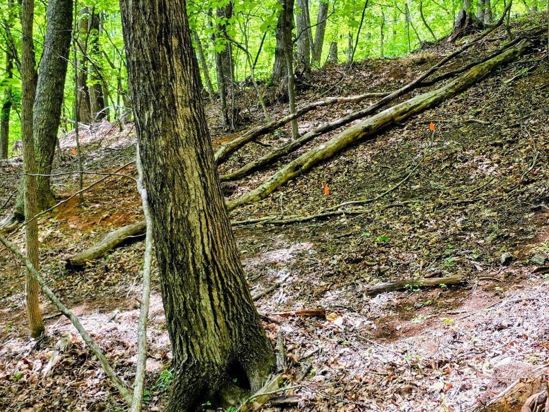 00 Hickory Springs Road Burnsville NC 28714