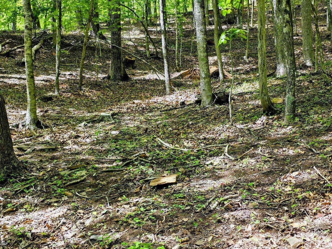 00 Hickory Springs Road Burnsville NC 28714