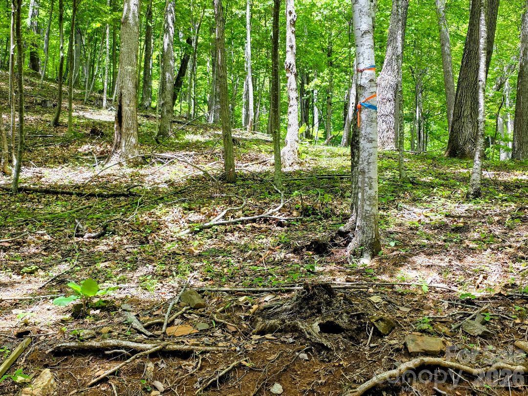 00 Hickory Springs Road Burnsville NC 28714