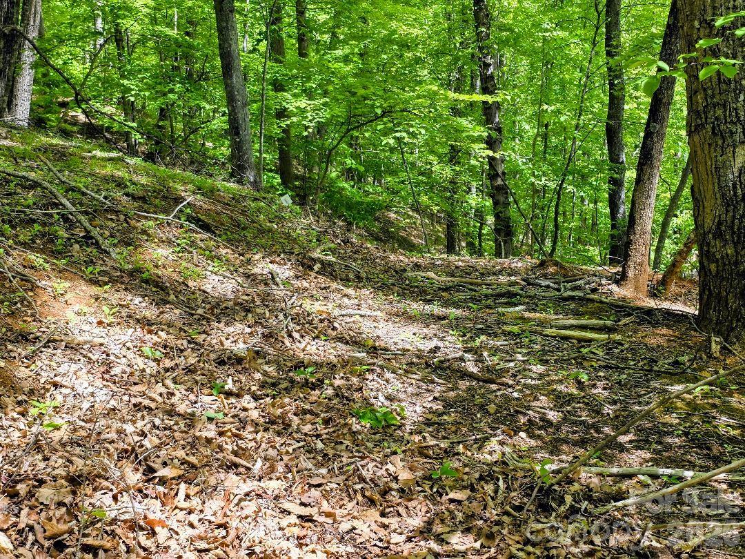 00 Hickory Springs Road Burnsville NC 28714