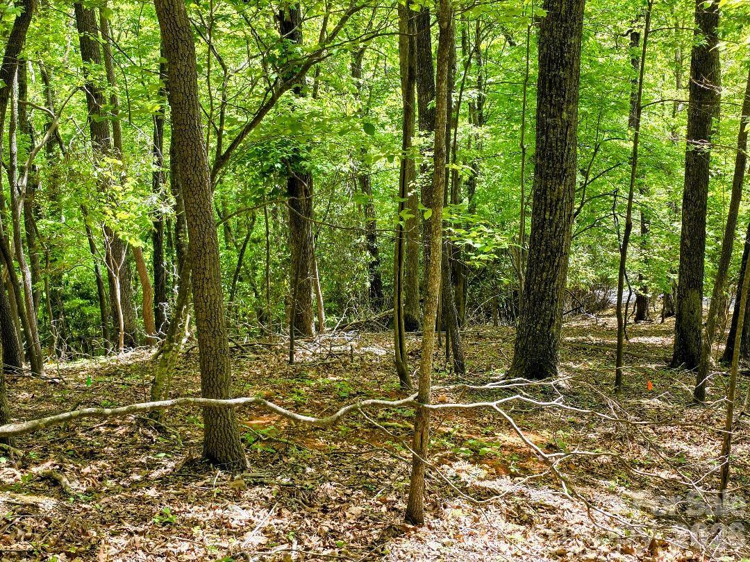 00 Hickory Springs Road Burnsville NC 28714