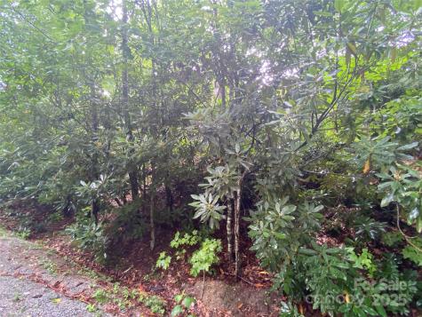 00000 Viking Trail Hendersonville NC 28739