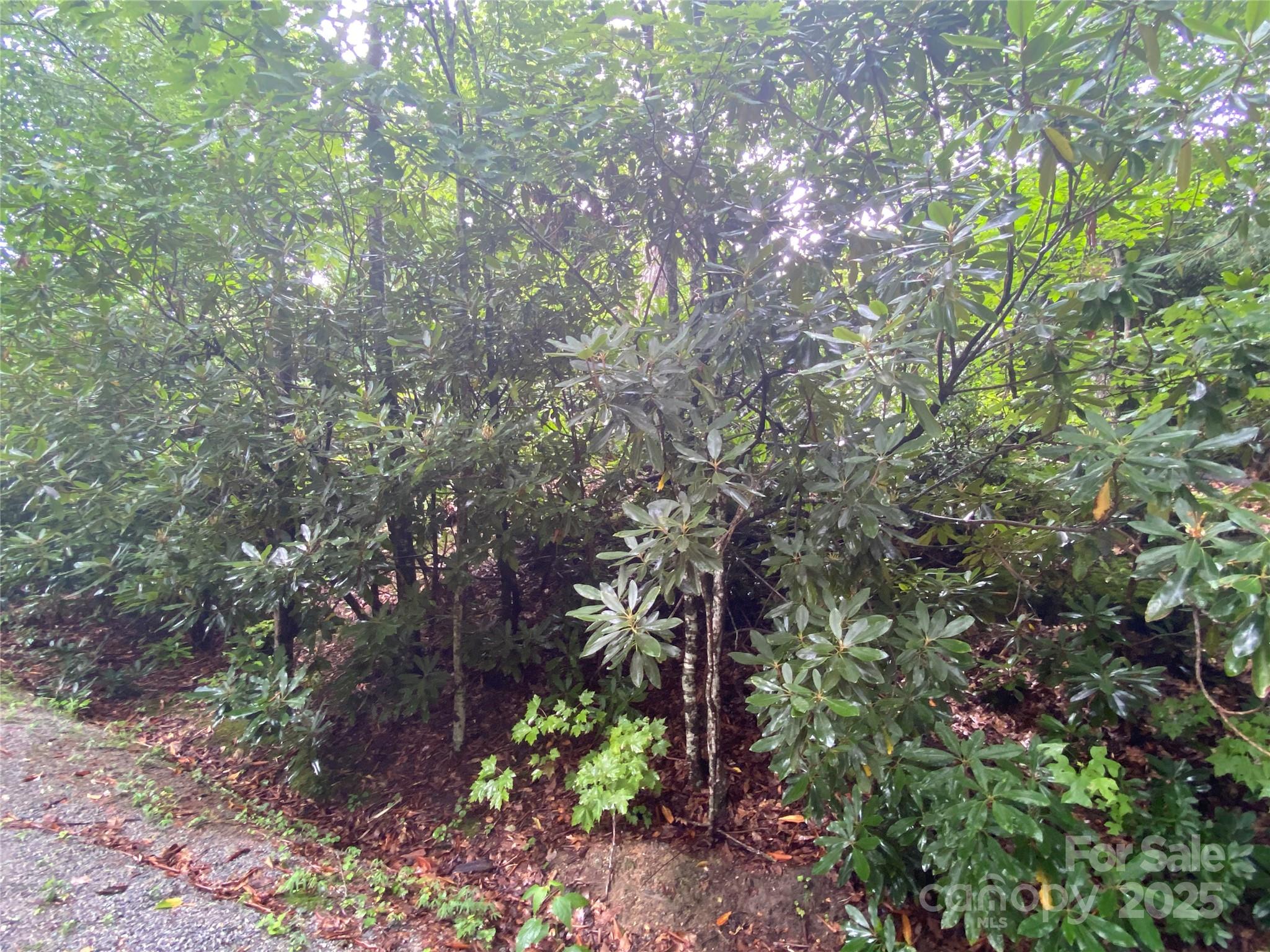 00000 Viking Trail Hendersonville NC 28739