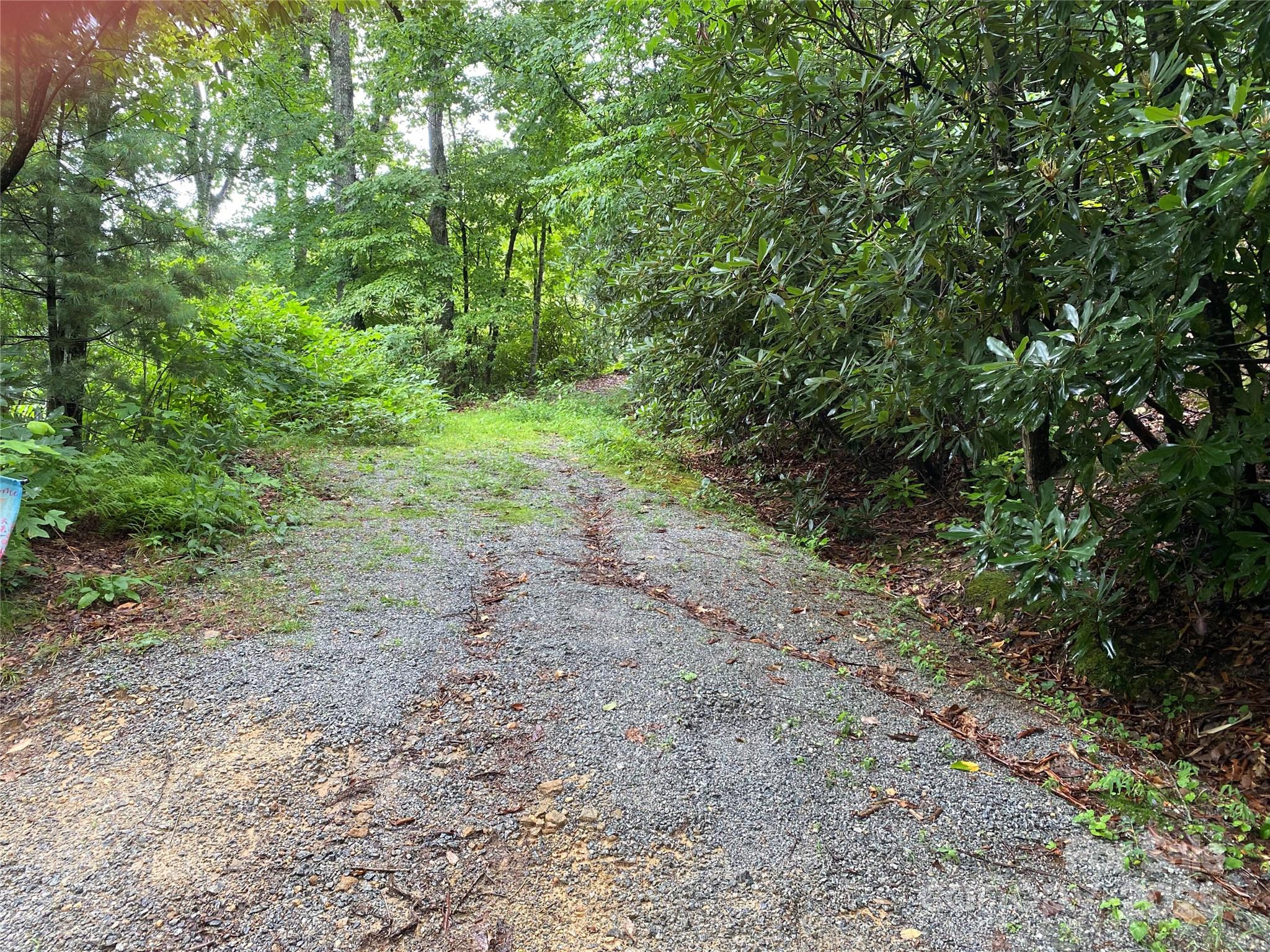 00000 Viking Trail Hendersonville NC 28739
