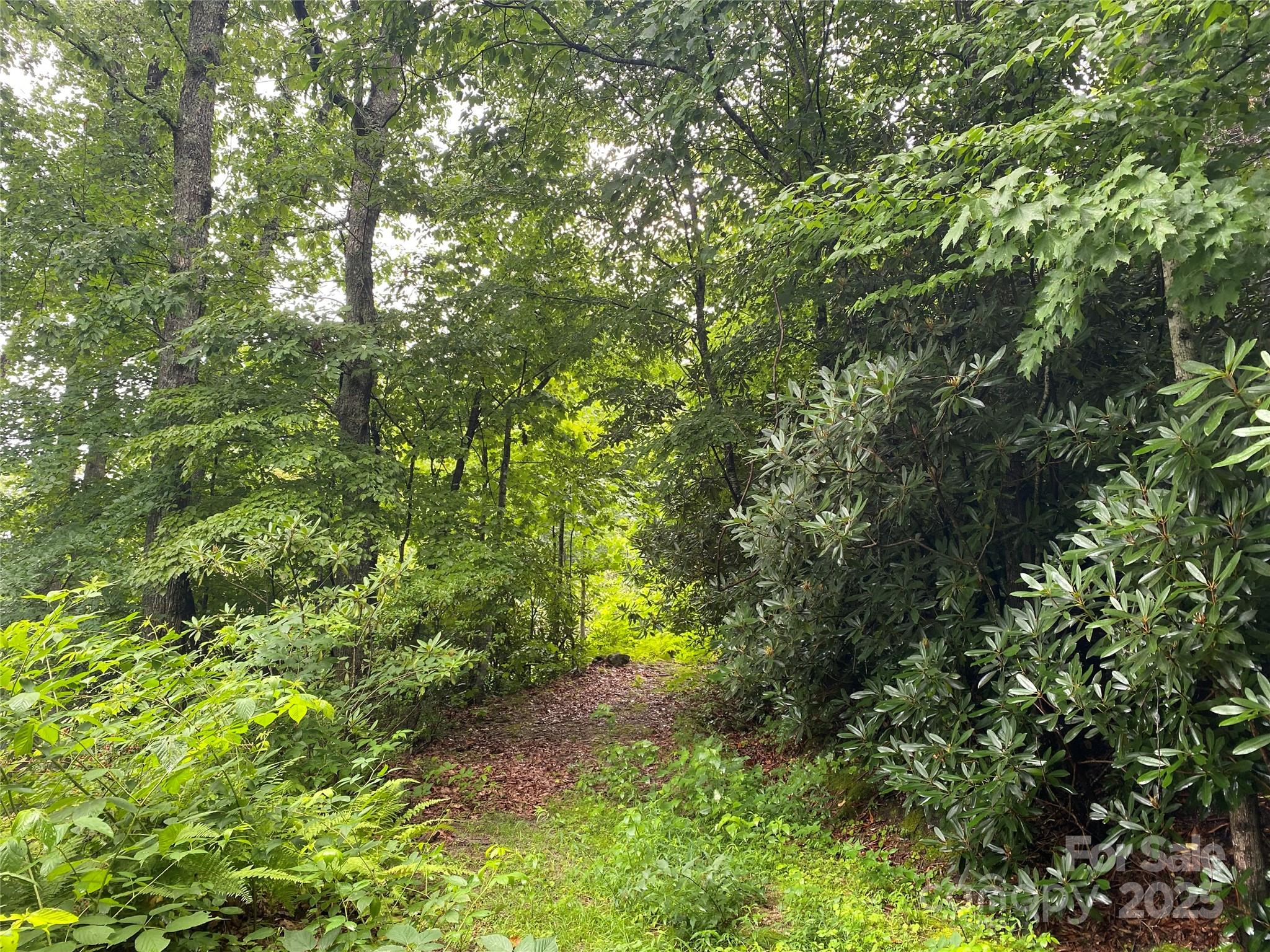 00000 Viking Trail Hendersonville NC 28739