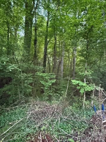 00 Winterhaven Road Taylorsville NC 28681