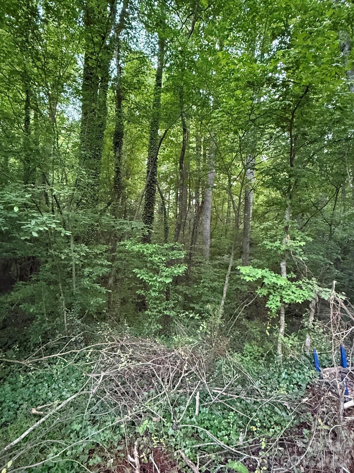 00 Winterhaven Road Taylorsville NC 28681