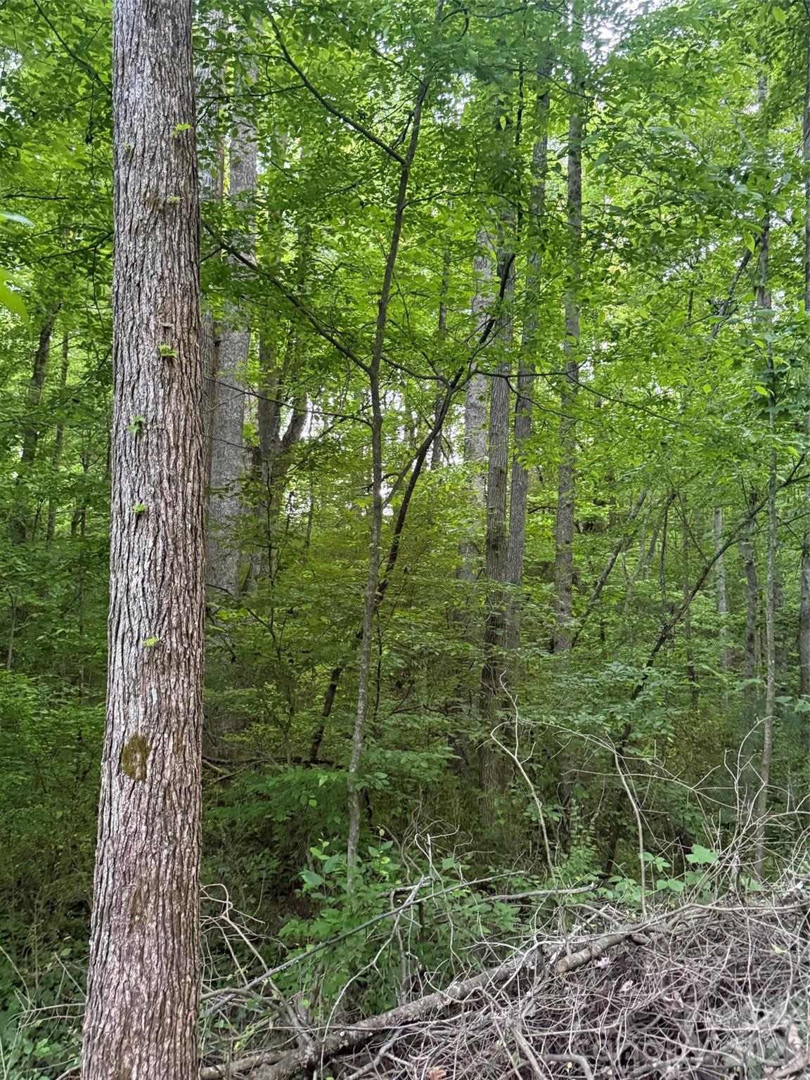 00 Winterhaven Road Taylorsville NC 28681
