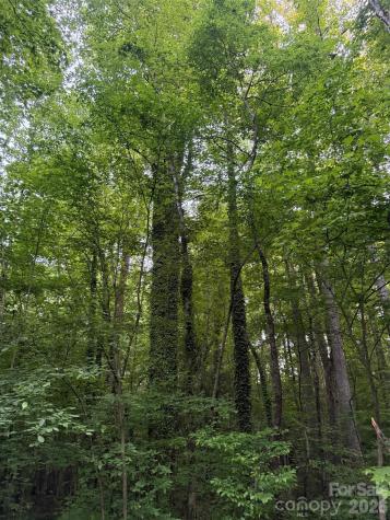 00 Winterhaven Road Taylorsville NC 28681