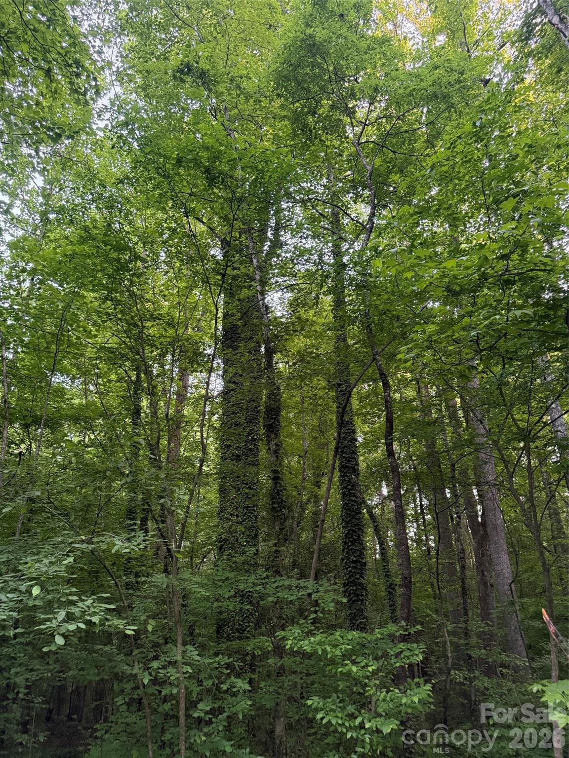 00 Winterhaven Road Taylorsville NC 28681