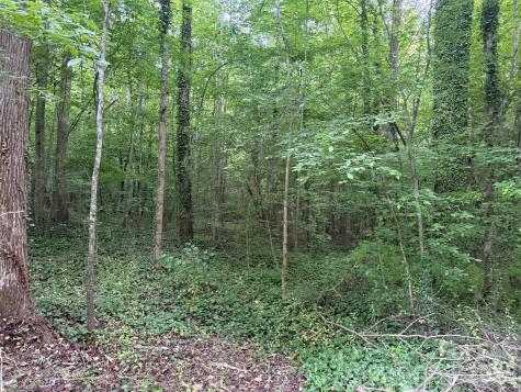 00 Winterhaven Road Taylorsville NC 28681