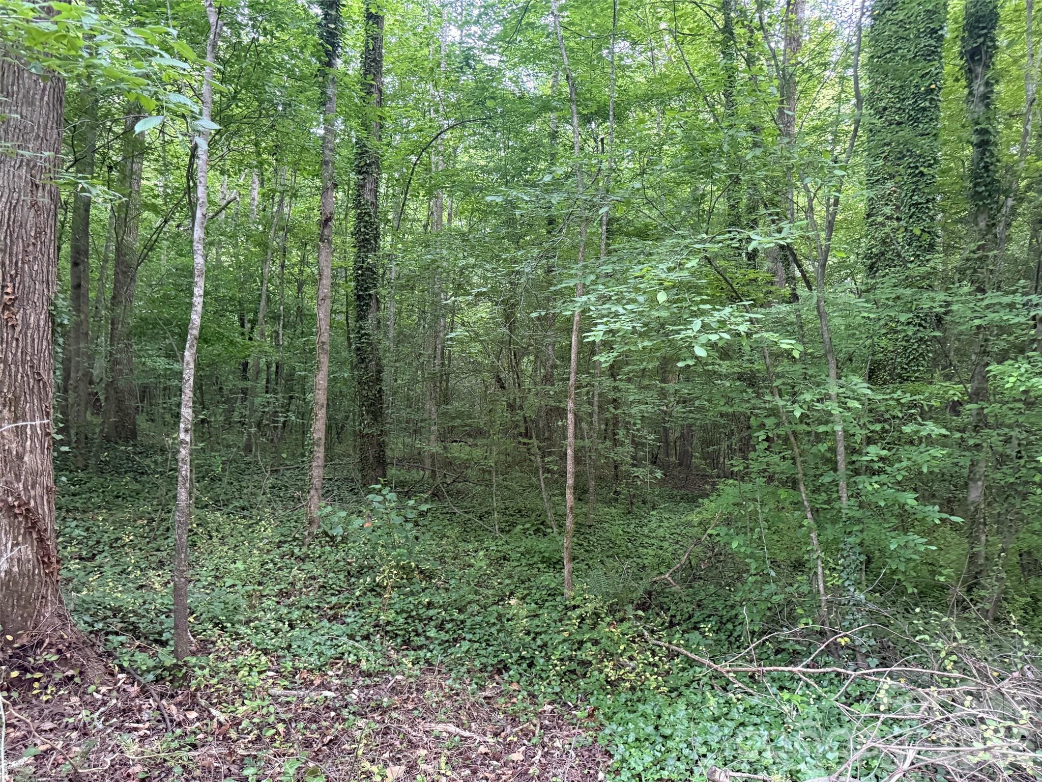00 Winterhaven Road Taylorsville NC 28681