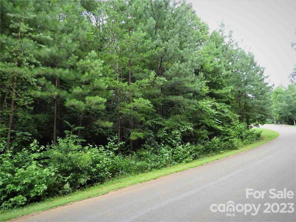 0 Chisholm Trail Rutherfordton NC 28139