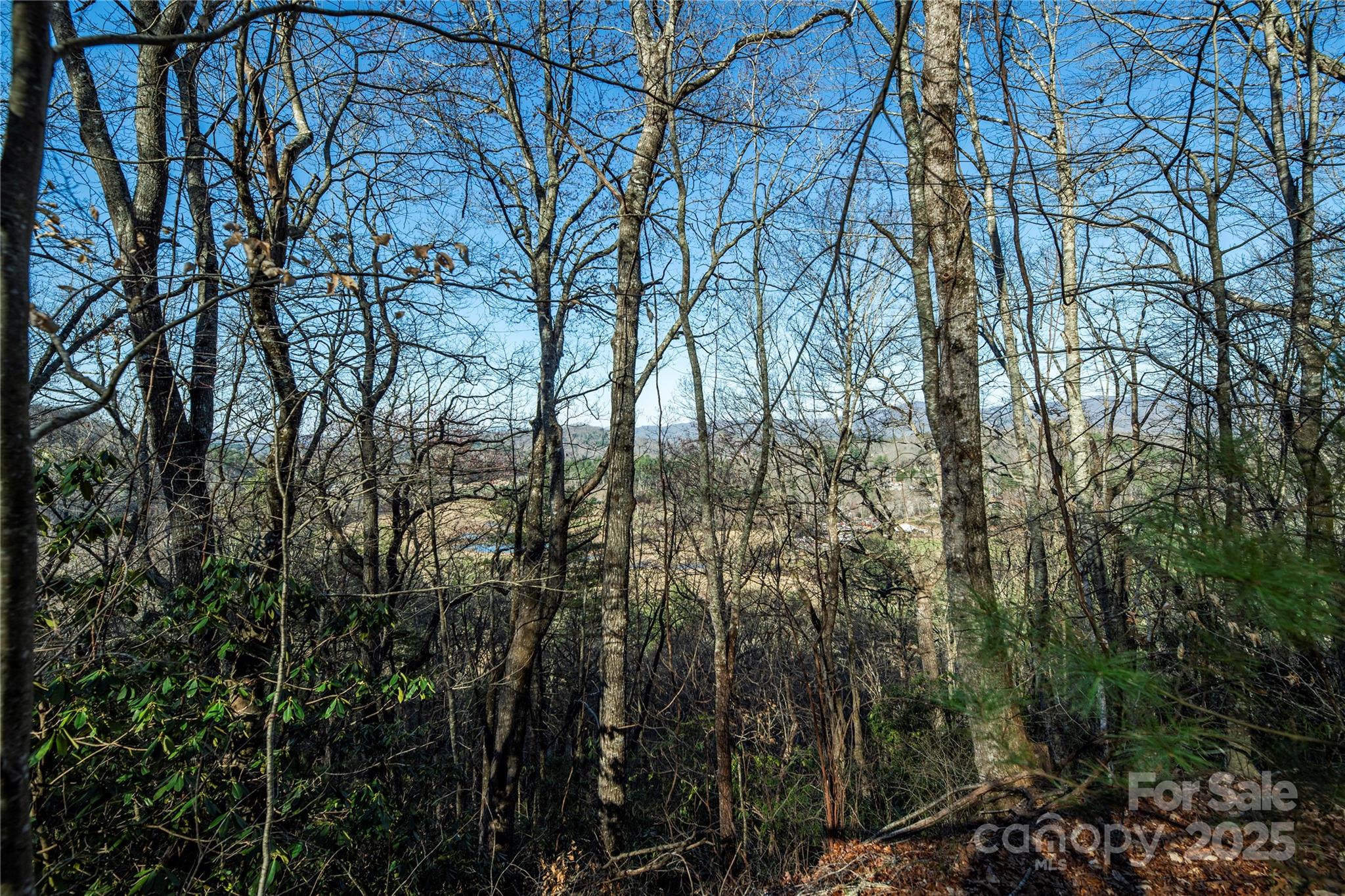 Tbd Three Mile Knob Road Pisgah Forest NC 28768