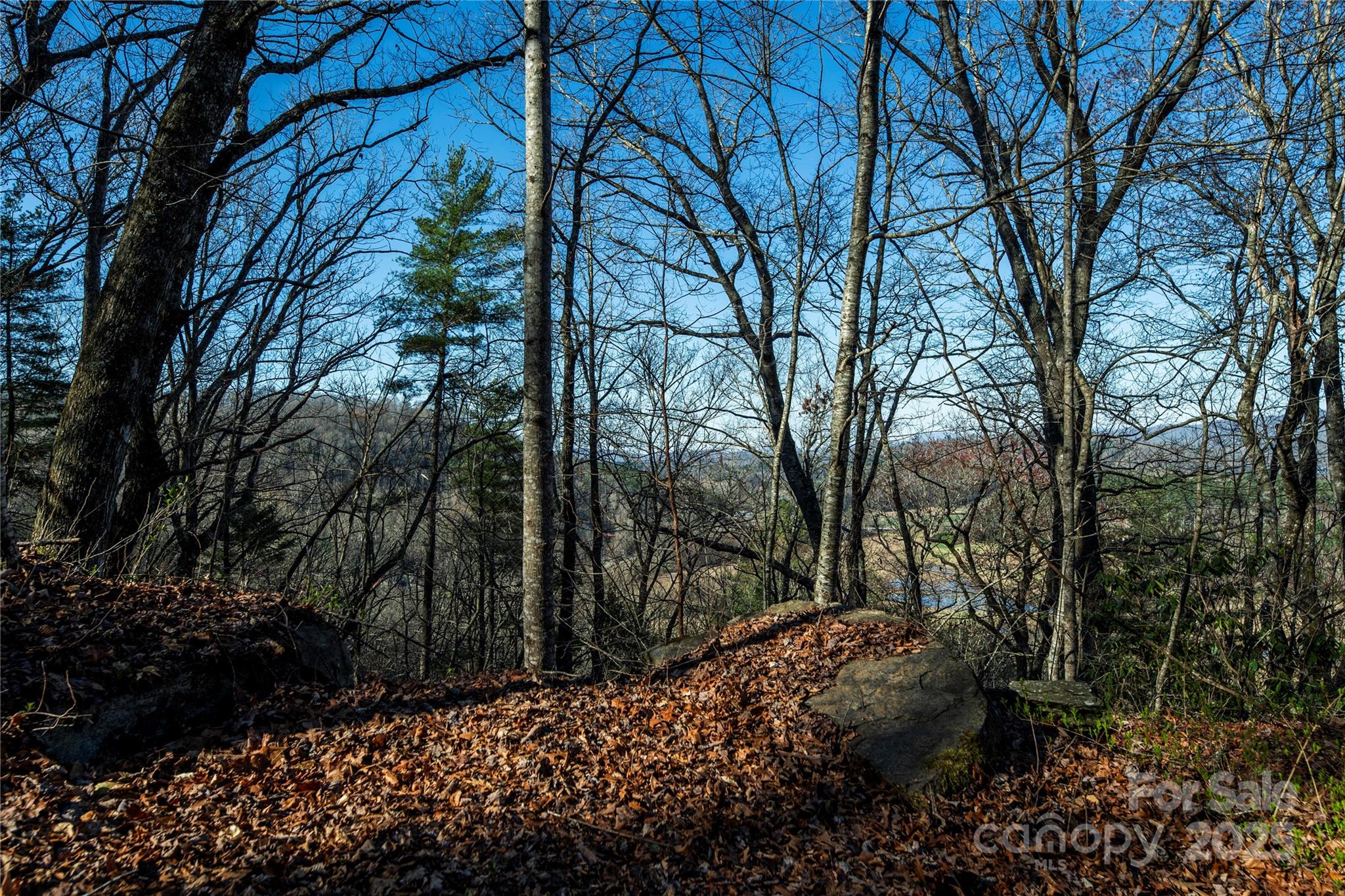 Tbd Three Mile Knob Road Pisgah Forest NC 28768