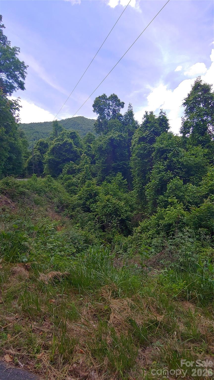 24 Village Lane Waynesville NC 28786