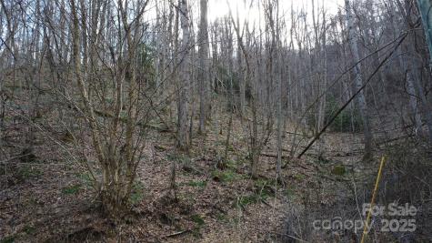 24 Village Lane Waynesville NC 28786