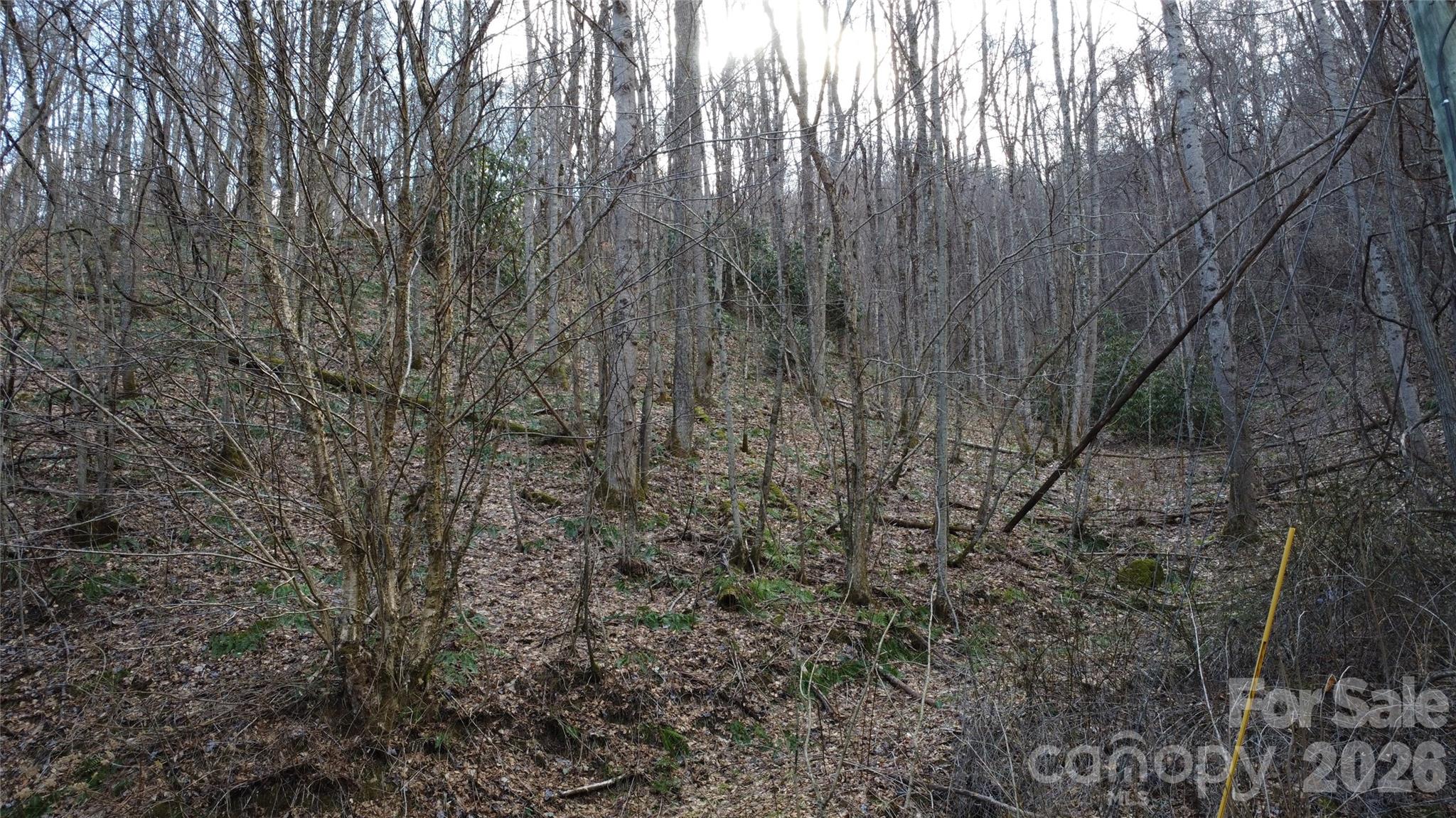 24 Village Lane Waynesville NC 28786