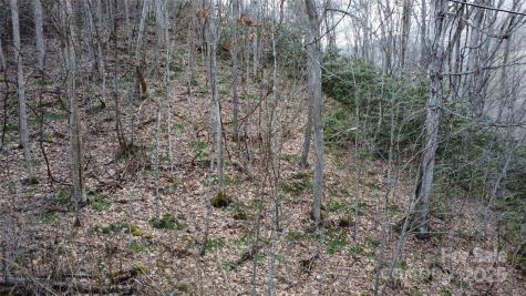 24 Village Lane Waynesville NC 28786