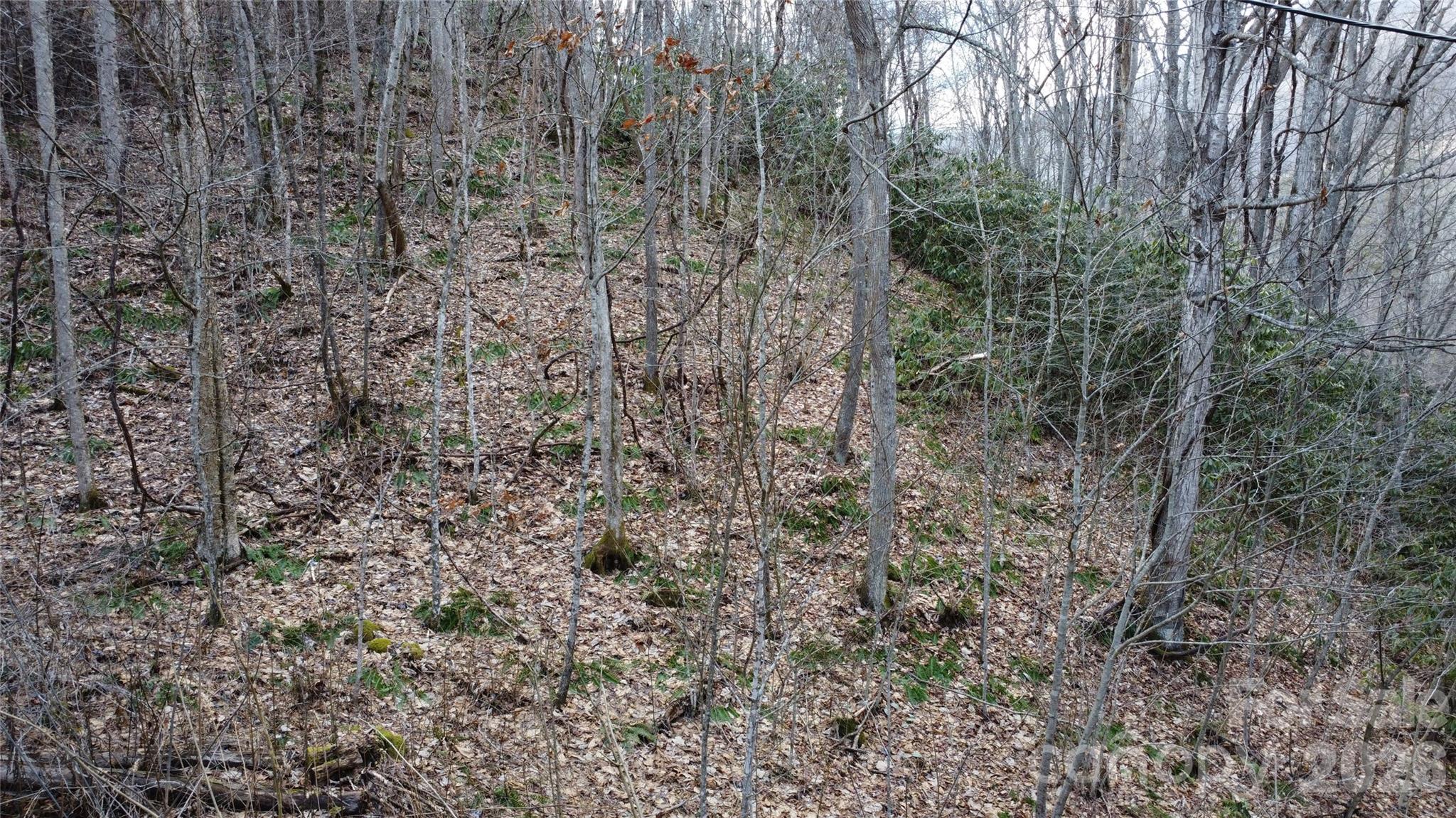 24 Village Lane Waynesville NC 28786