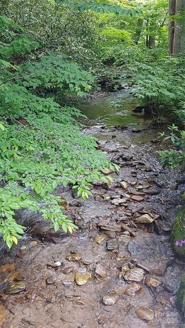 24 Village Lane Waynesville NC 28786