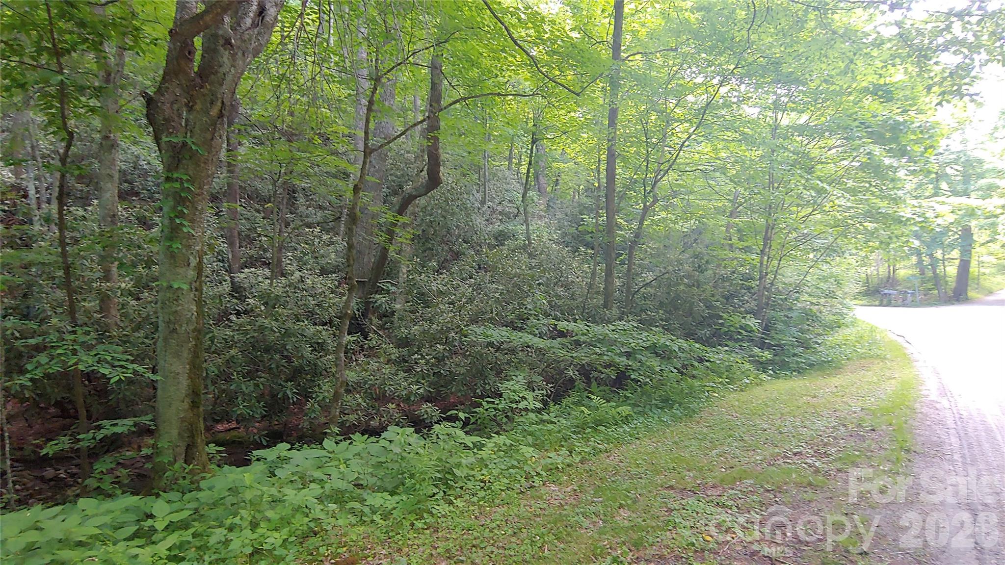 24 Village Lane Waynesville NC 28786
