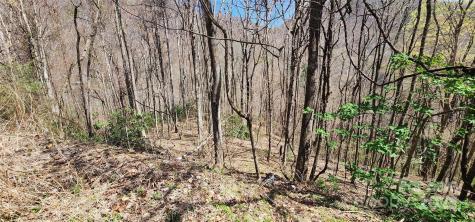 24 Village Lane Waynesville NC 28786