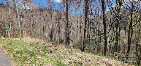 24 Village Lane Waynesville NC 28786