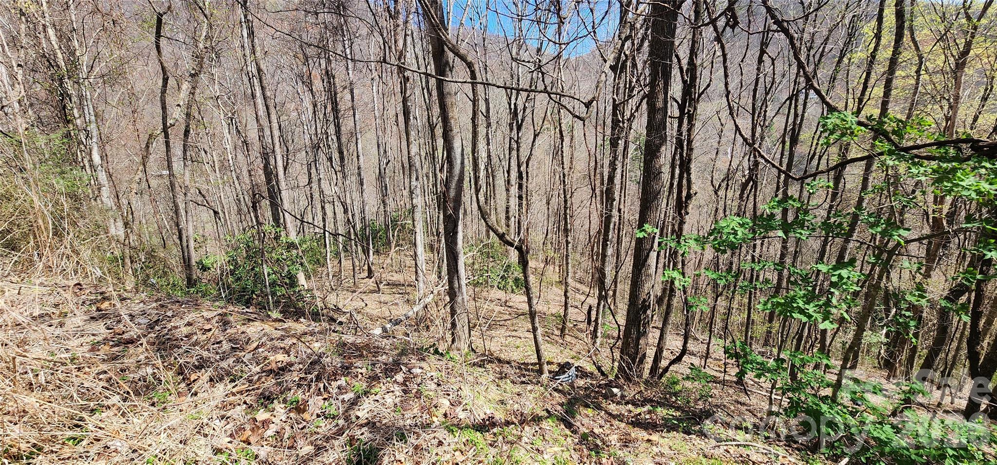 24 Village Lane Waynesville NC 28786