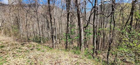 24 Village Lane Waynesville NC 28786