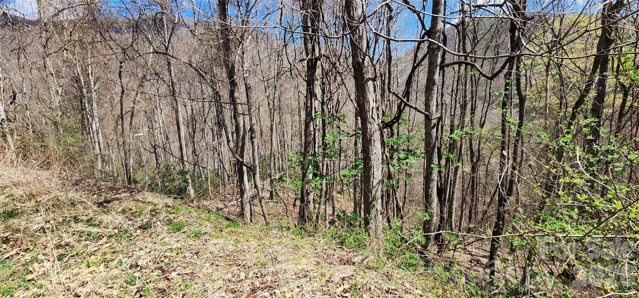 24 Village Lane Waynesville NC 28786
