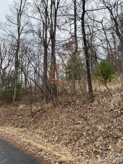 201 Glen Valley Drive Weaverville NC 28787