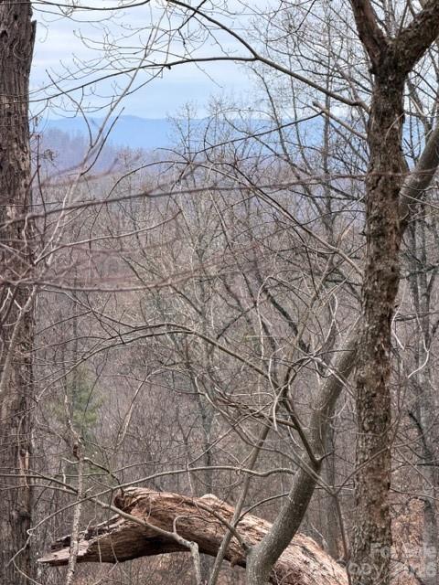 201 Glen Valley Drive Weaverville NC 28787