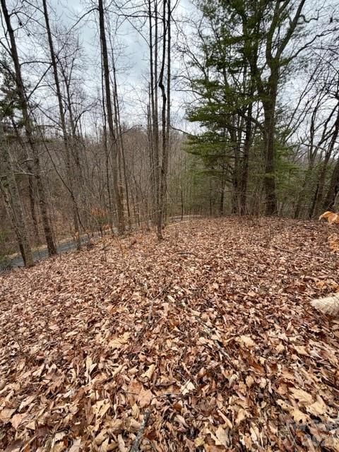 201 Glen Valley Drive Weaverville NC 28787