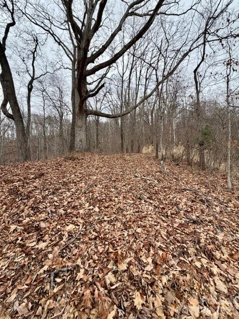 201 Glen Valley Drive Weaverville NC 28787