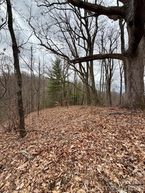 201 Glen Valley Drive Weaverville NC 28787