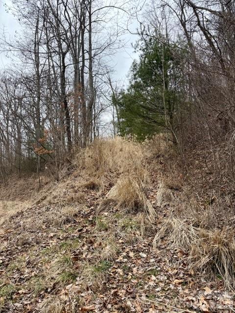 201 Glen Valley Drive Weaverville NC 28787