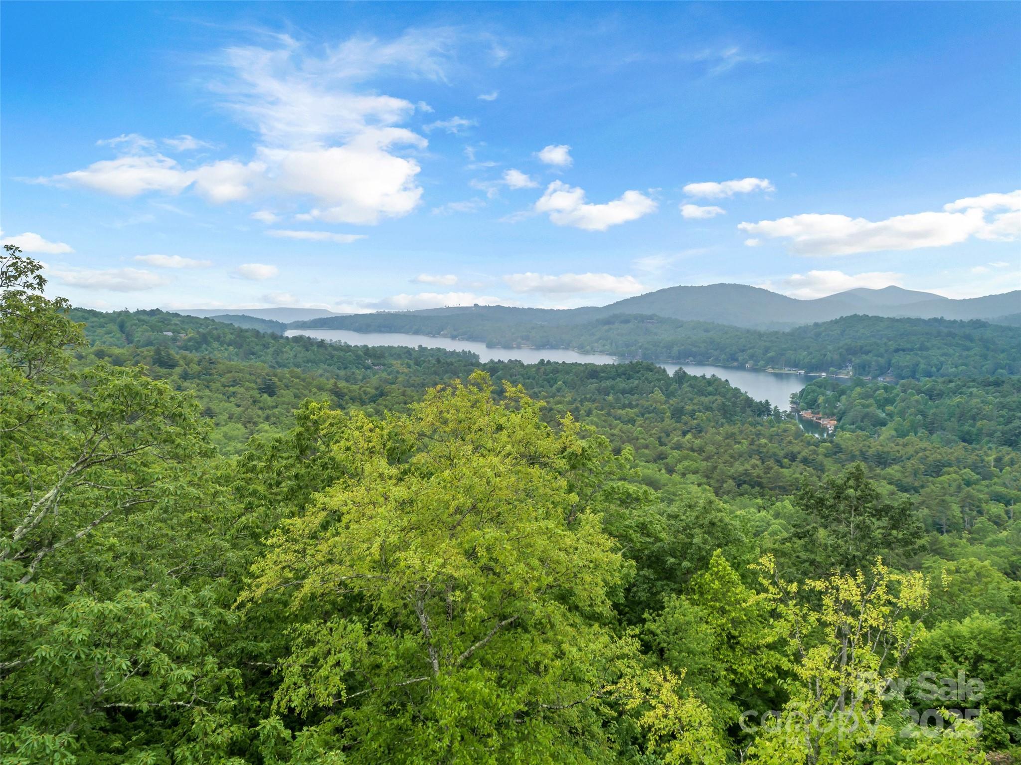 000 Squirrel Run Road Lake Toxaway NC 28747