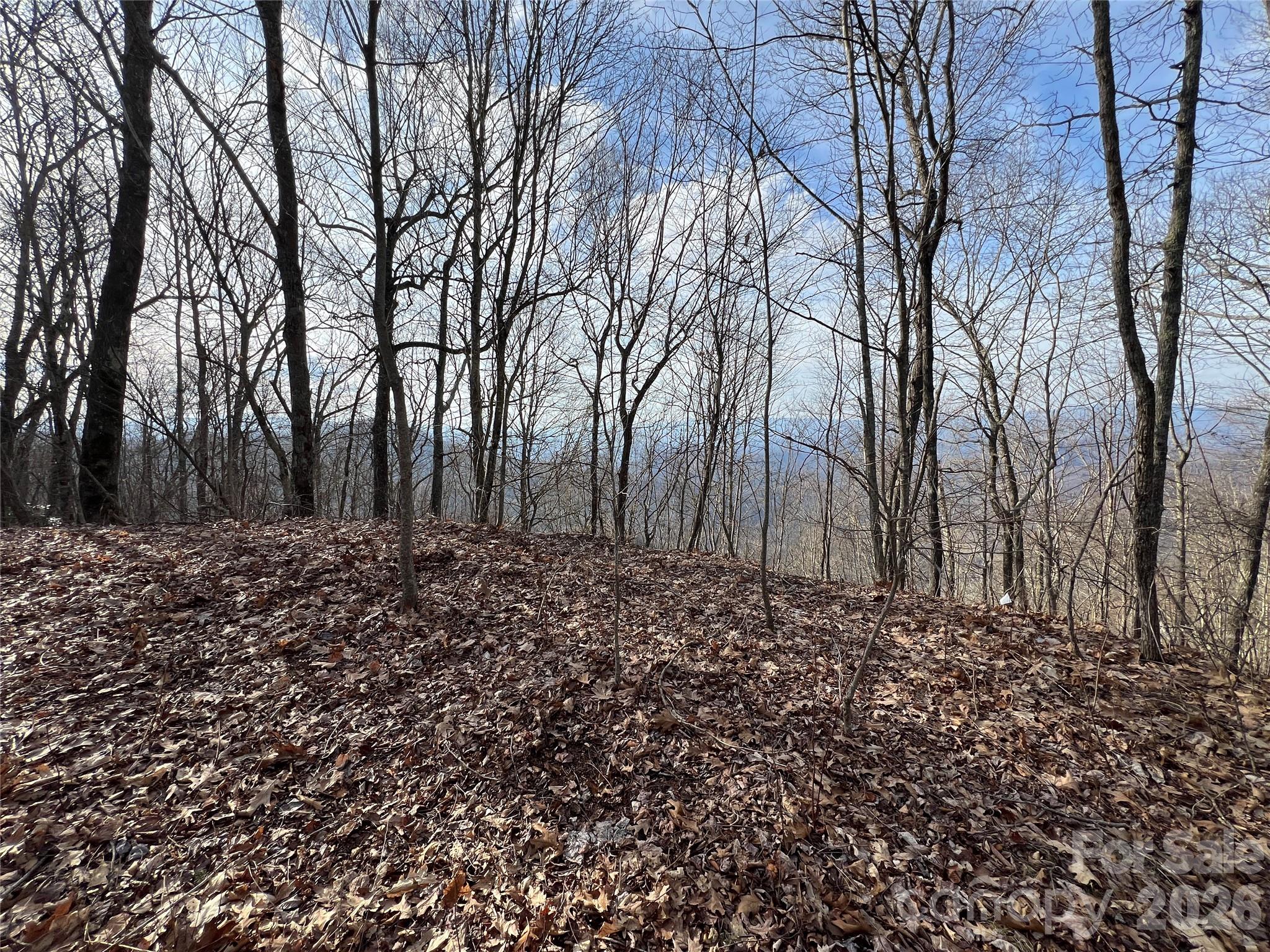 Lot 24/26 Butterfly Path Bryson City NC 28713