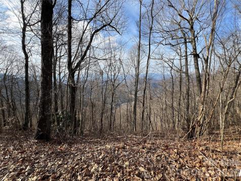 Lot 24/26 Butterfly Path Bryson City NC 28713
