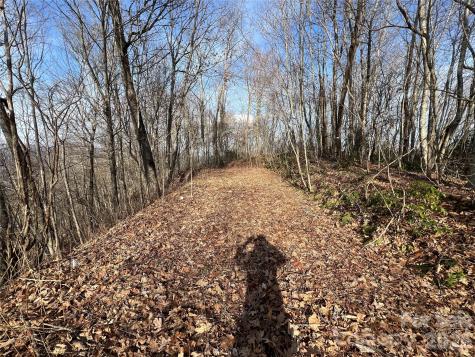 Lot 24/26 Butterfly Path Bryson City NC 28713