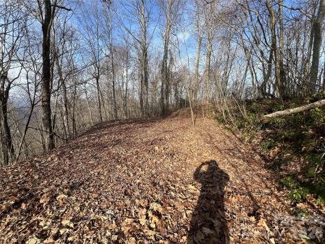 Lot 24/26 Butterfly Path Bryson City NC 28713