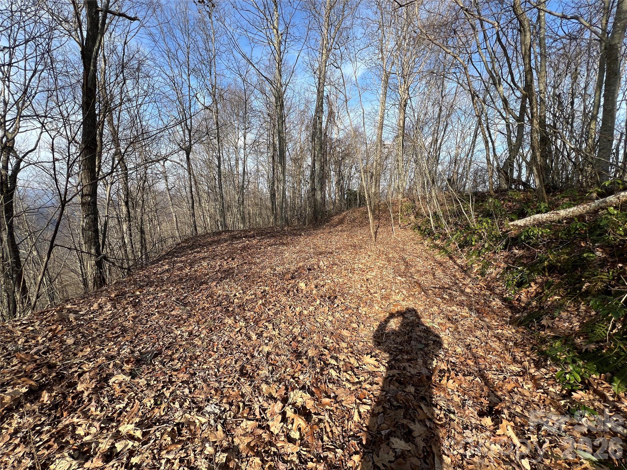Lot 24/26 Butterfly Path Bryson City NC 28713