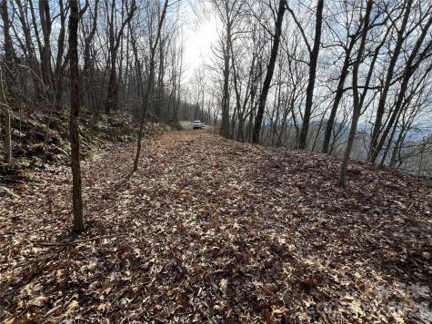 Lot 24/26 Butterfly Path Bryson City NC 28713