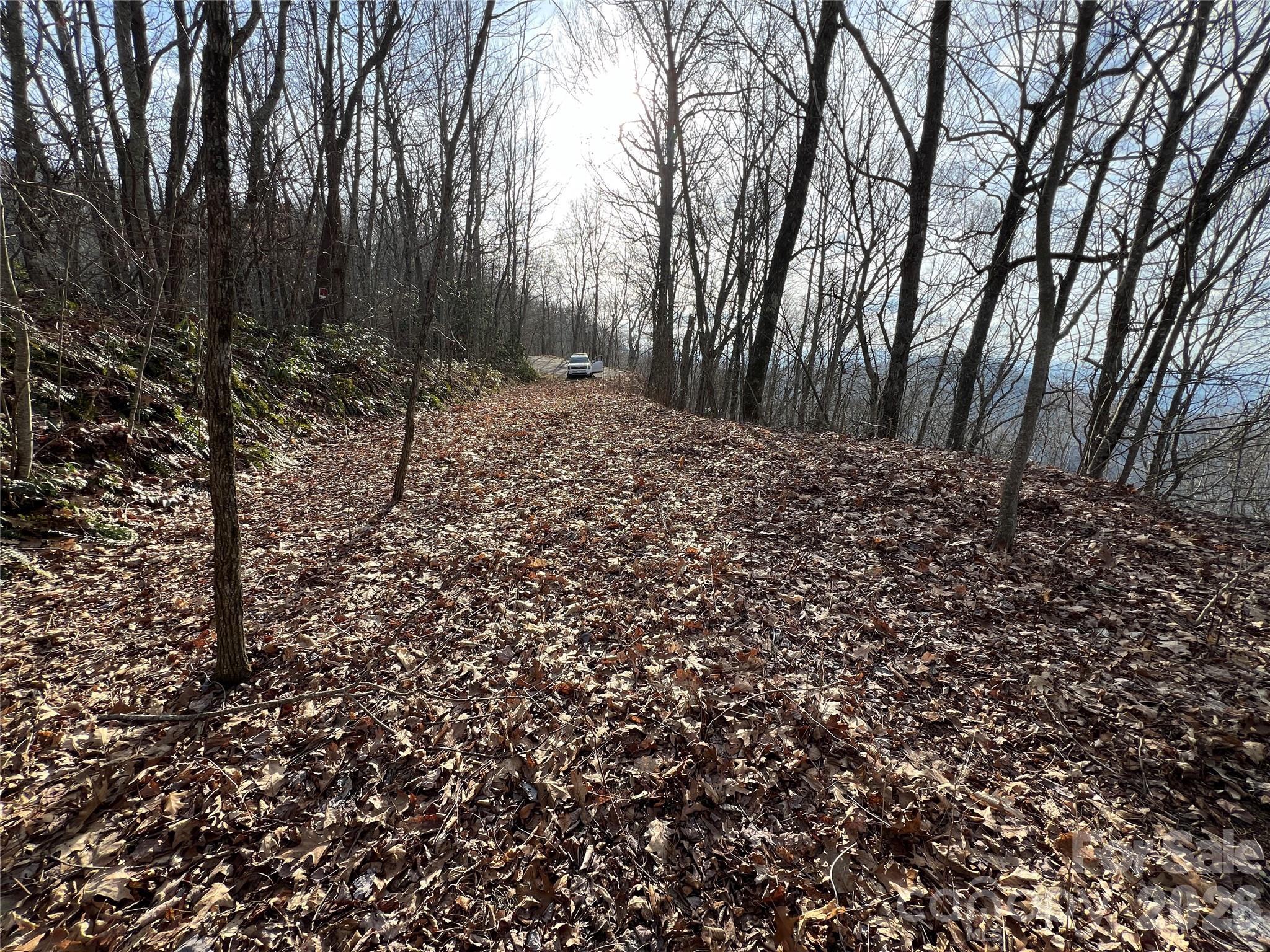 Lot 24/26 Butterfly Path Bryson City NC 28713