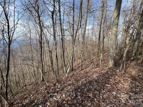 Lot 24/26 Butterfly Path Bryson City NC 28713