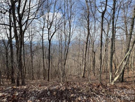 Lot 24/26 Butterfly Path Bryson City NC 28713