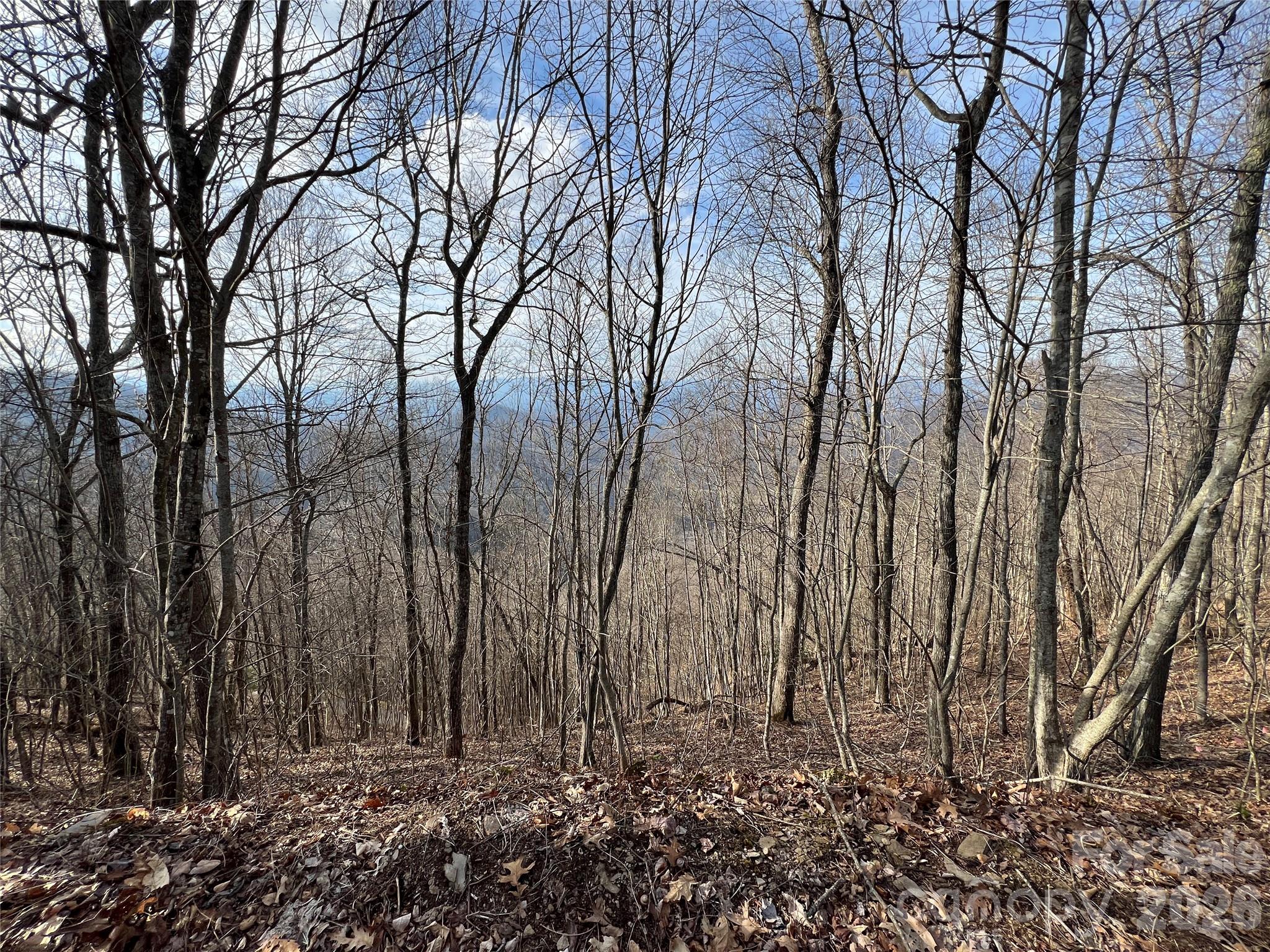 Lot 24/26 Butterfly Path Bryson City NC 28713