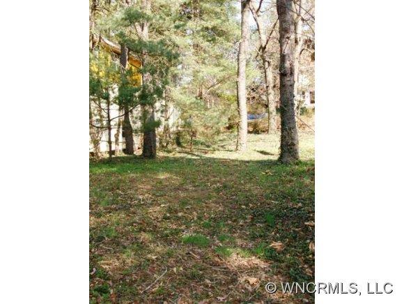 2 Vineyard Place Asheville NC 28804