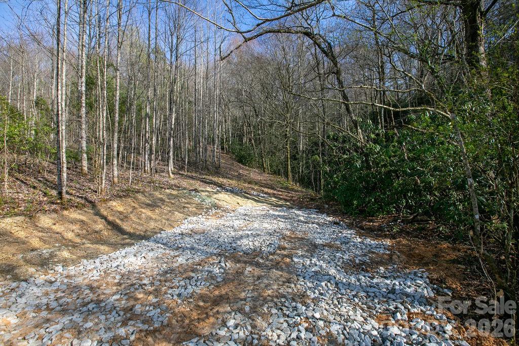 Tbd Middlefork Road Brevard NC 28712